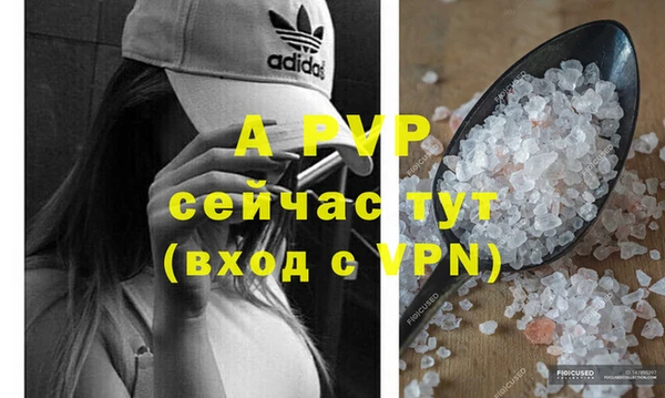 таблы Белокуриха