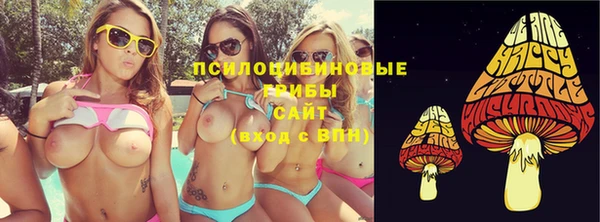 таблы Белокуриха