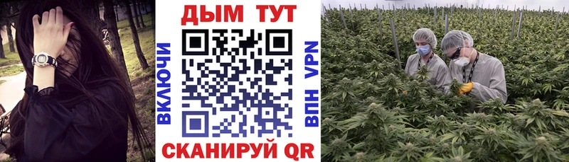 Каннабис ГИДРОПОН Белая Калитва